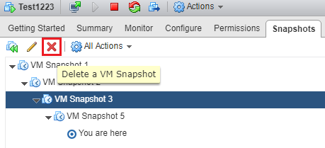 Snapshots deletion - Delete a VM Snapshot