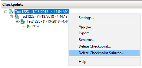 Deletion Checkpoint Subtree