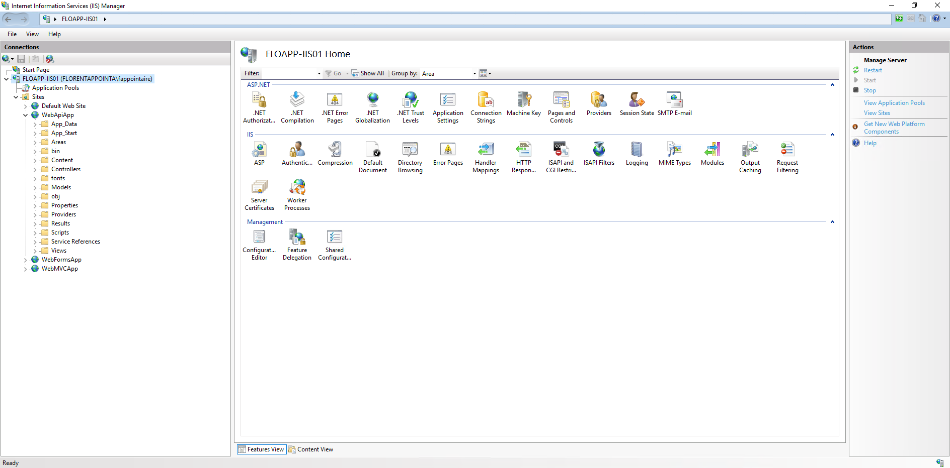 IIS Manager view