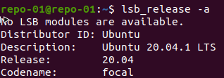 I'm using Ubuntu 20.04.1 LTS in the lab
