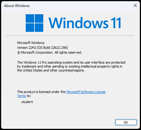 Windows 11 22H2 version