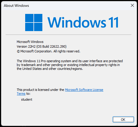 Windows 11 Pro 22H2 Lite ISO - How to Download and Install?