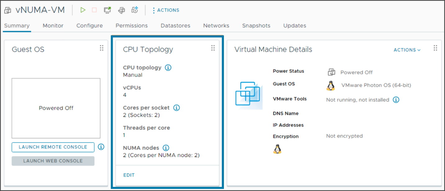 vSphere 8 and NUMA topology details on the CPU topology tile
