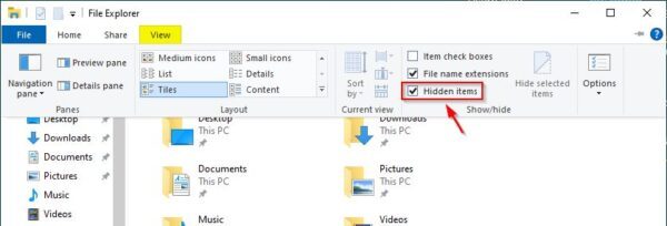Open the File Explorer and enable Hidden items option from the View menu