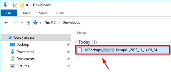 The default file name will be LMbackups