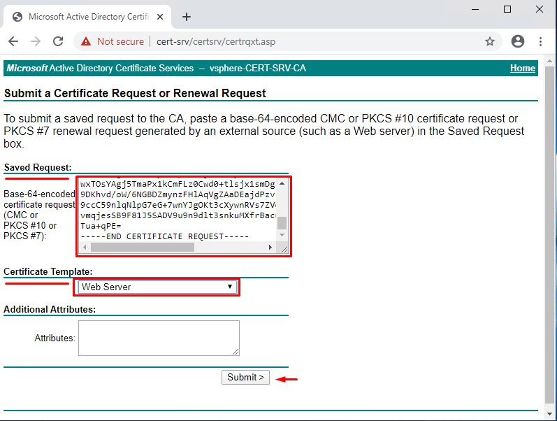 Request a certificate > advanced certificate request