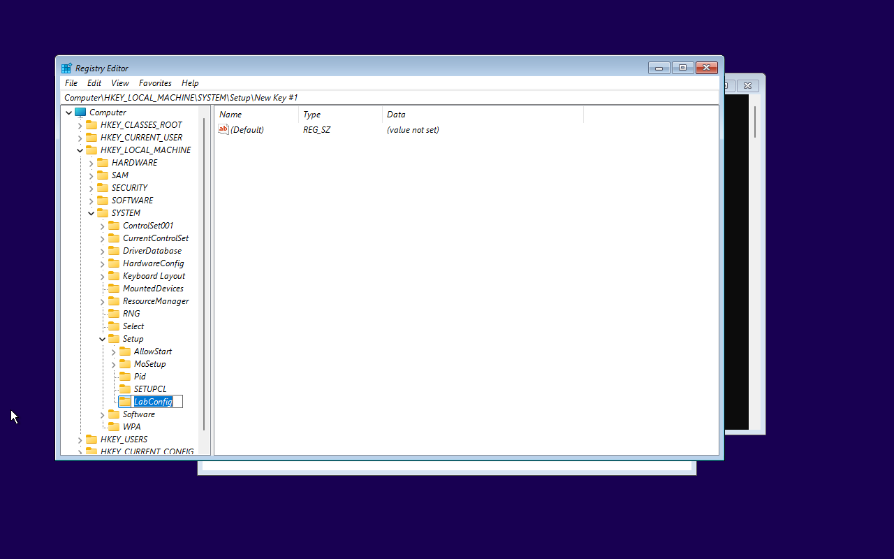 Creating the LabConfig registry key-img Creating the LabConfig registry key
