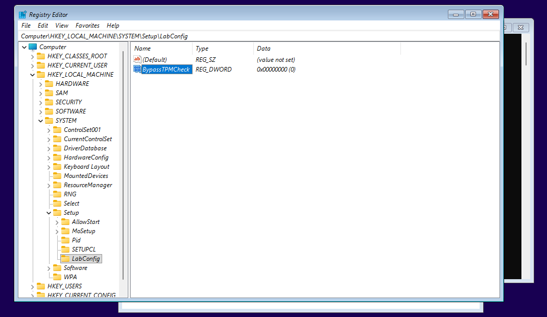 BypassTPMCheck value created-img BypassTPMCheck value created