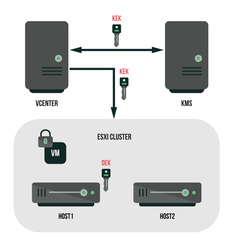 A diagram of a computer server AI-generated content may be incorrect.