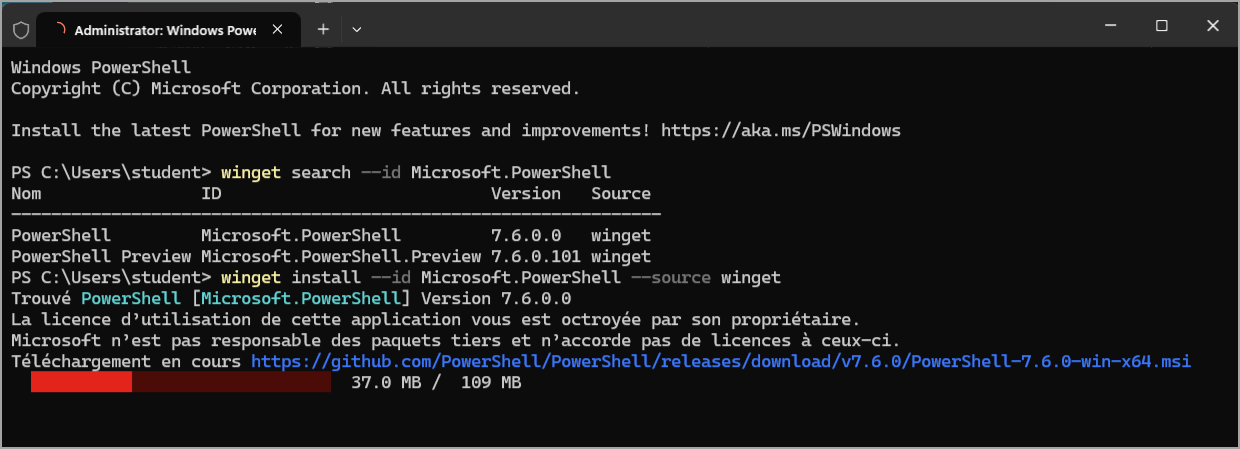 Installation via winget command