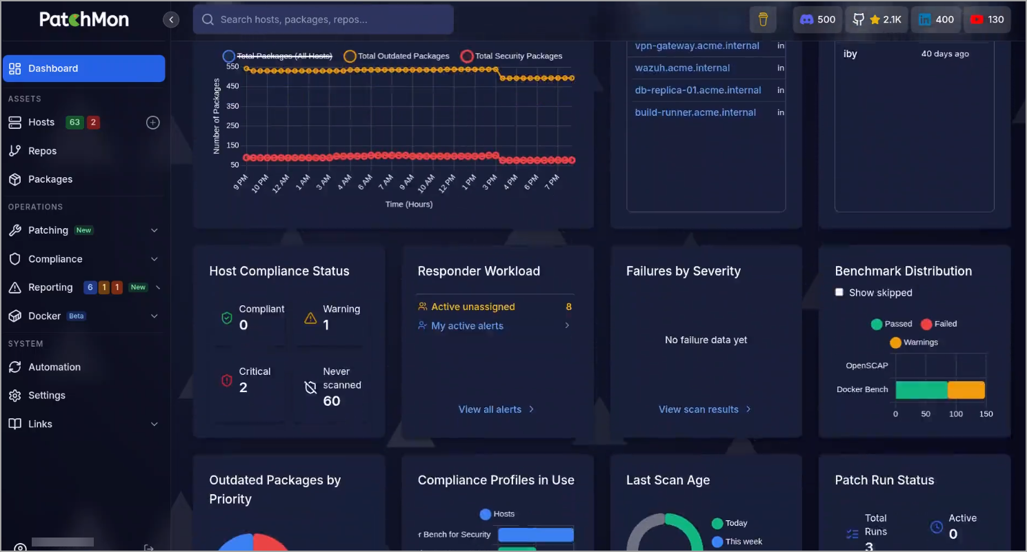 Default overview of PatchMon dashboard