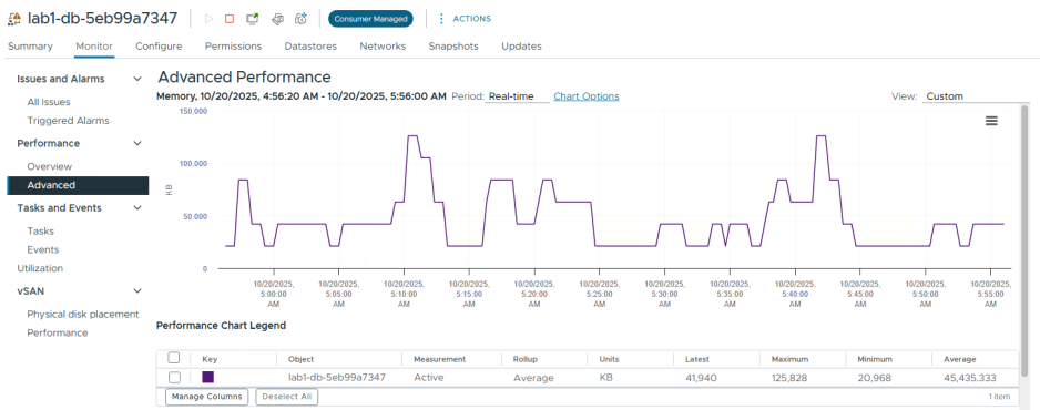 Monitoring Active Memory consumption-img Monitoring Active Memory consumption